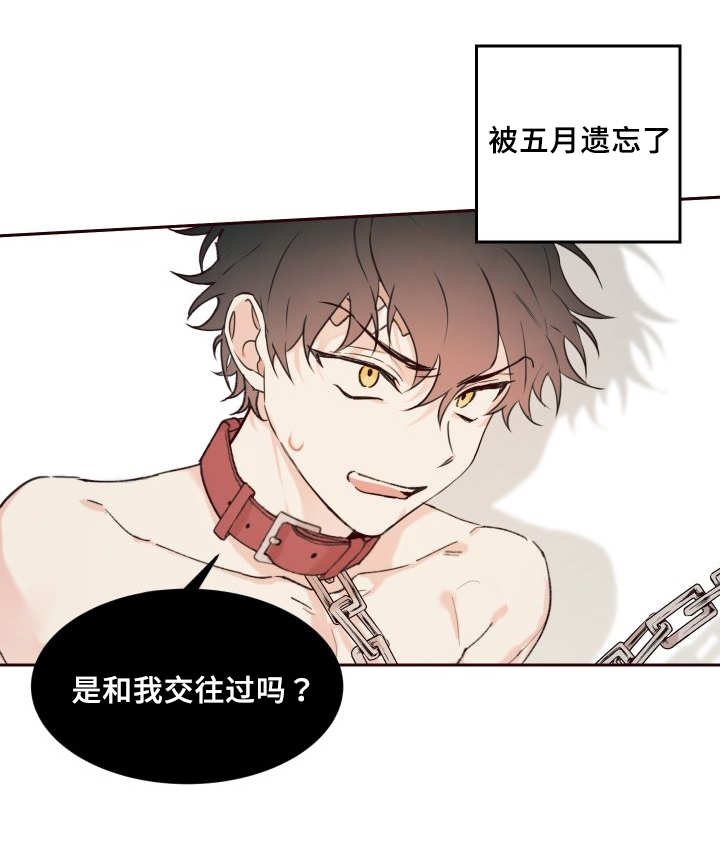 《猫的项圈》漫画最新章节第31话 搞错了什么免费下拉式在线观看章节第【13】张图片