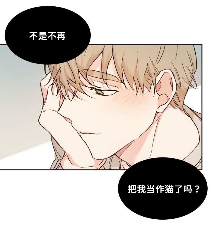 《猫的项圈》漫画最新章节第31话 搞错了什么免费下拉式在线观看章节第【20】张图片