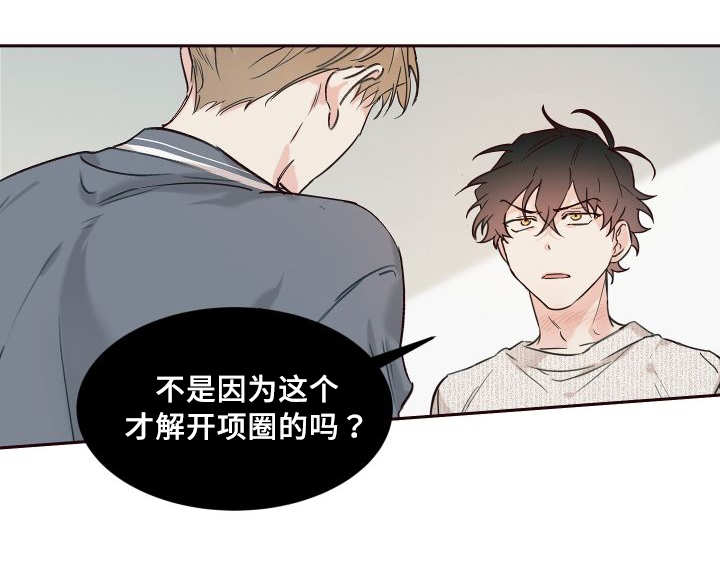 《猫的项圈》漫画最新章节第31话 搞错了什么免费下拉式在线观看章节第【19】张图片