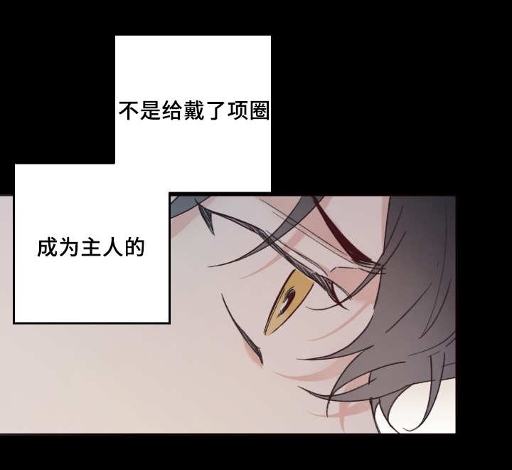 《猫的项圈》漫画最新章节第31话 搞错了什么免费下拉式在线观看章节第【1】张图片