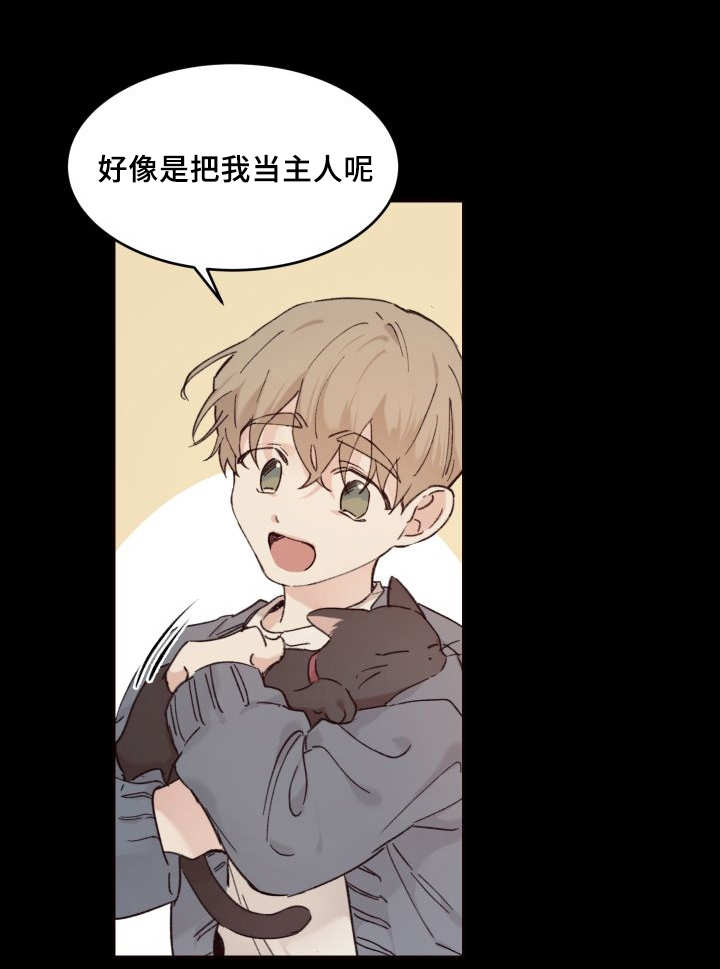 《猫的项圈》漫画最新章节第31话 搞错了什么免费下拉式在线观看章节第【2】张图片