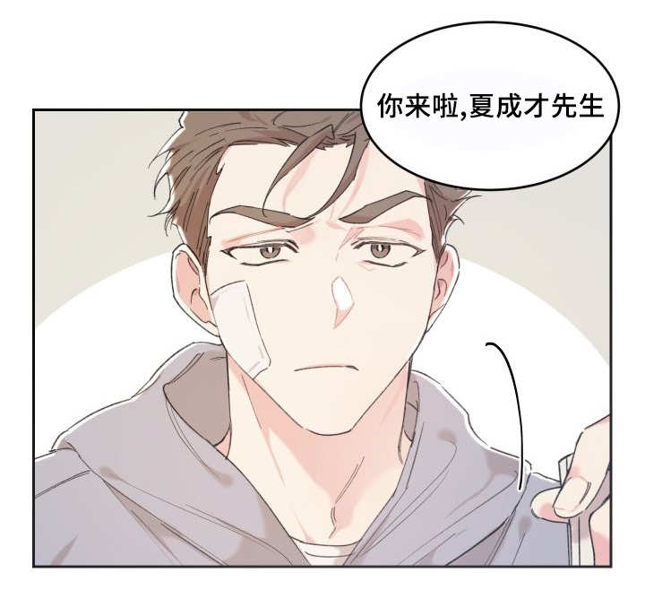 《猫的项圈》漫画最新章节第36话 情敌见面免费下拉式在线观看章节第【19】张图片