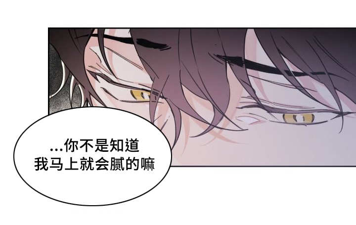 《猫的项圈》漫画最新章节第40话 小心一点免费下拉式在线观看章节第【6】张图片