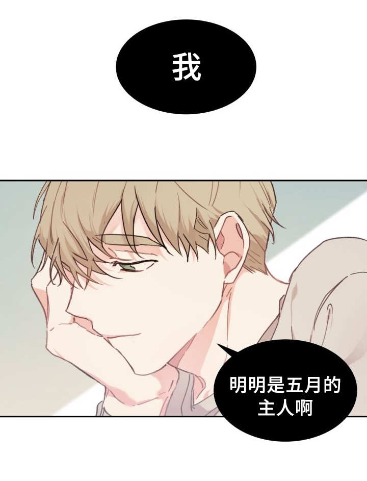 《猫的项圈》漫画最新章节第40话 小心一点免费下拉式在线观看章节第【2】张图片