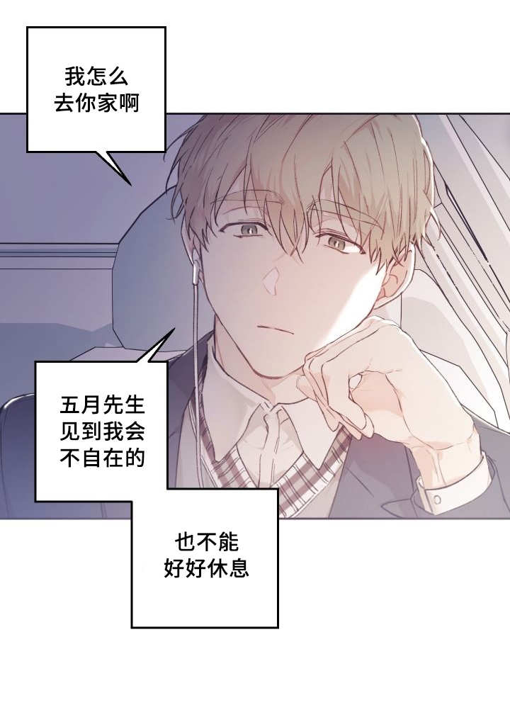 《猫的项圈》漫画最新章节第41话 陷入爱情免费下拉式在线观看章节第【19】张图片