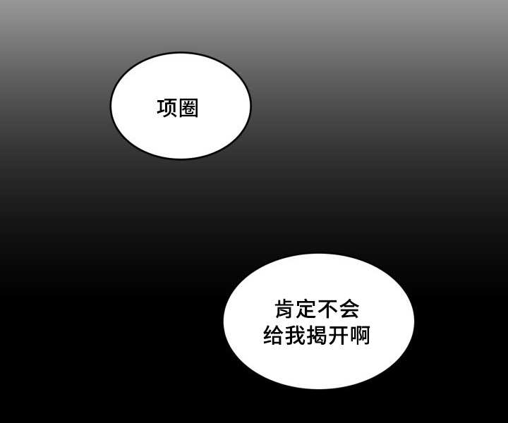 《猫的项圈》漫画最新章节第41话 陷入爱情免费下拉式在线观看章节第【8】张图片