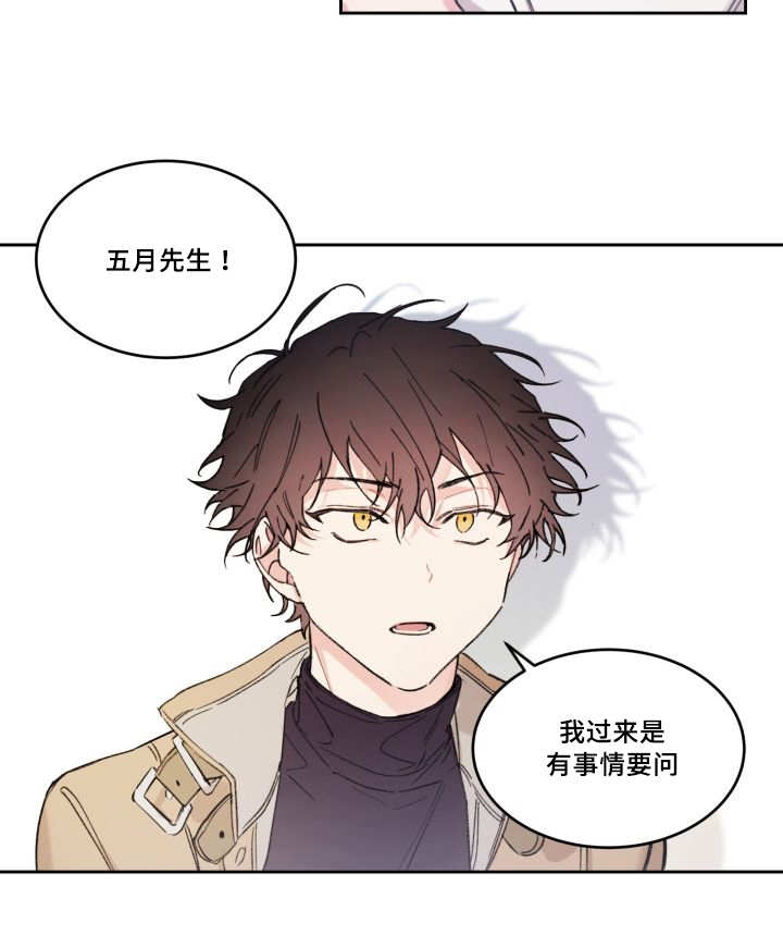 《猫的项圈》漫画最新章节第46话 没来找我免费下拉式在线观看章节第【27】张图片