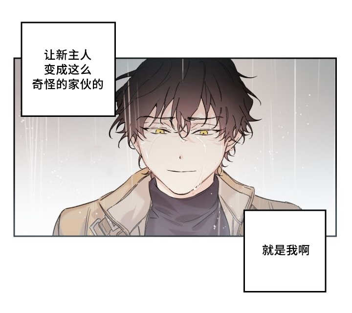 《猫的项圈》漫画最新章节第46话 没来找我免费下拉式在线观看章节第【1】张图片