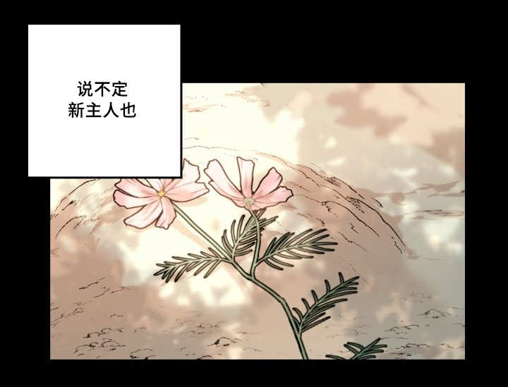 《猫的项圈》漫画最新章节第47话 大结局免费下拉式在线观看章节第【25】张图片