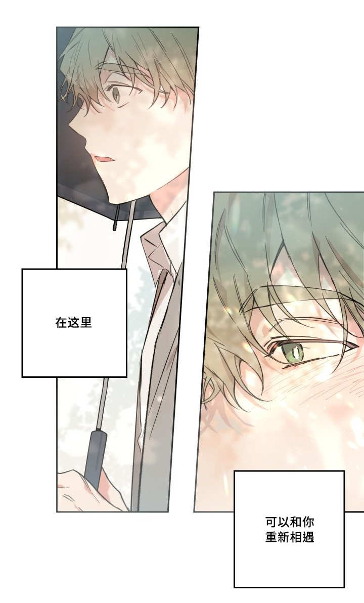 《猫的项圈》漫画最新章节第47话 大结局免费下拉式在线观看章节第【10】张图片