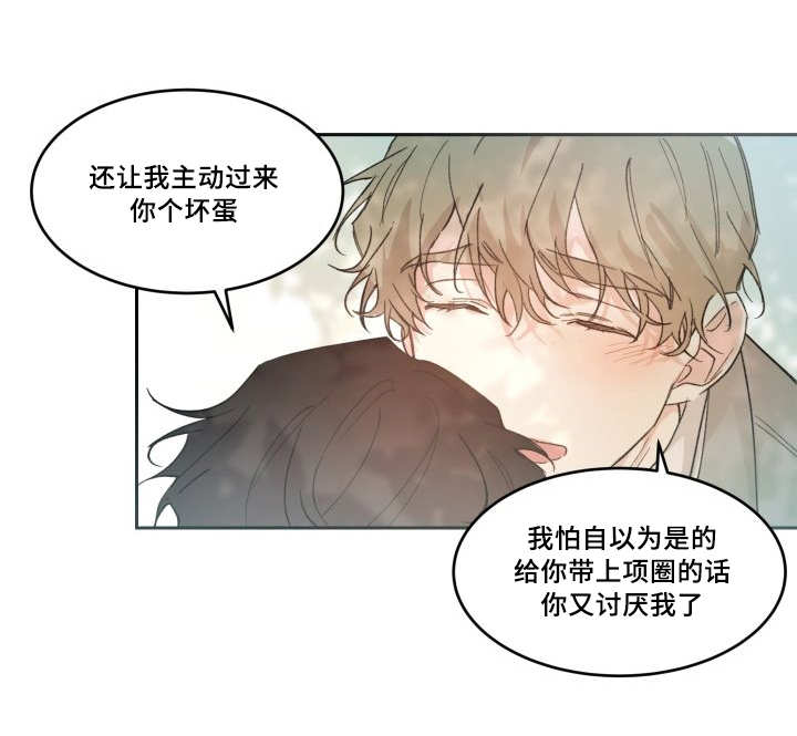 《猫的项圈》漫画最新章节第47话 大结局免费下拉式在线观看章节第【3】张图片