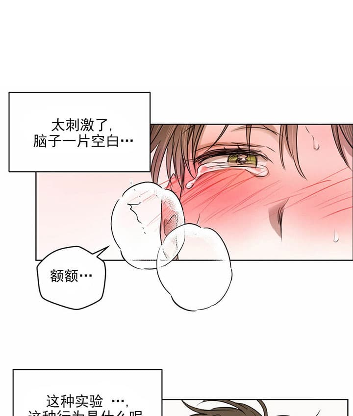 《皇家罗曼史（共2季）》漫画最新章节第53话 还有下次免费下拉式在线观看章节第【20】张图片