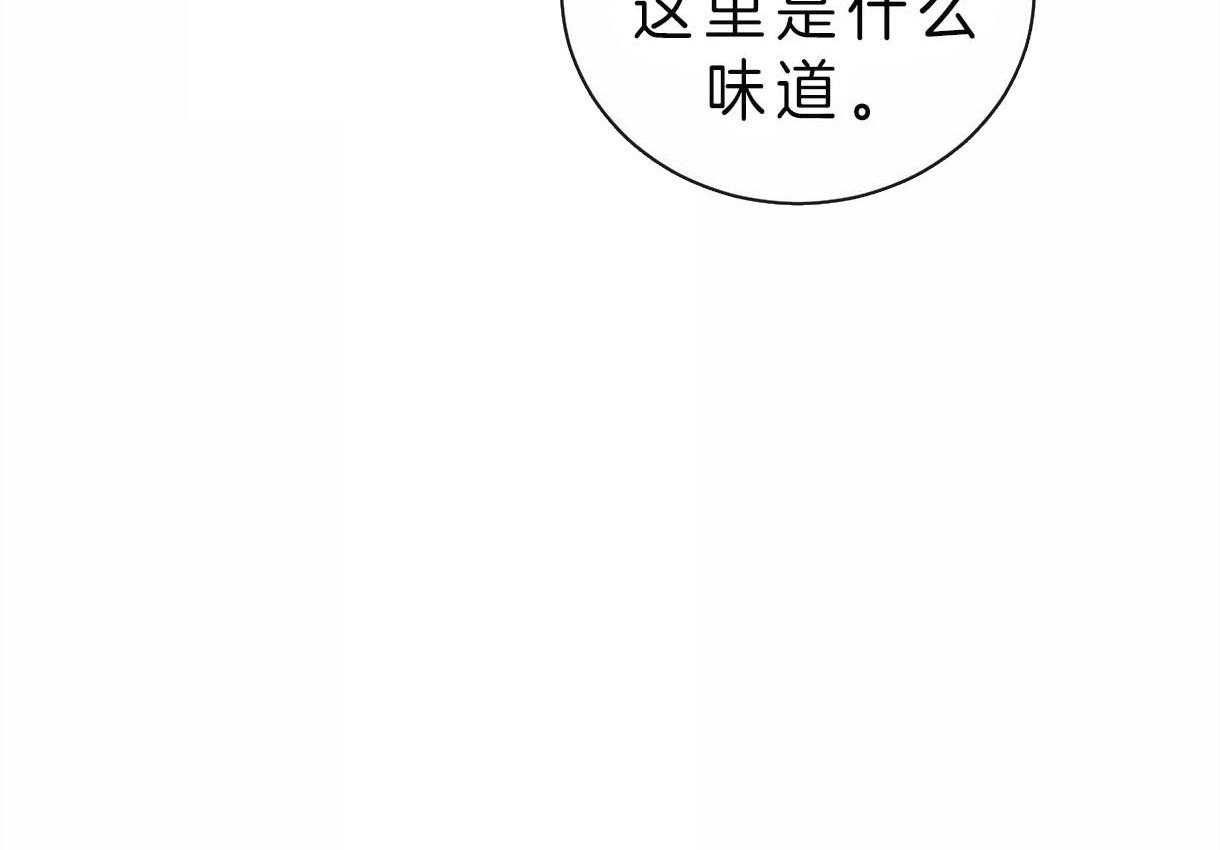 《皇家罗曼史（共2季）》漫画最新章节第74话 可以吗免费下拉式在线观看章节第【25】张图片