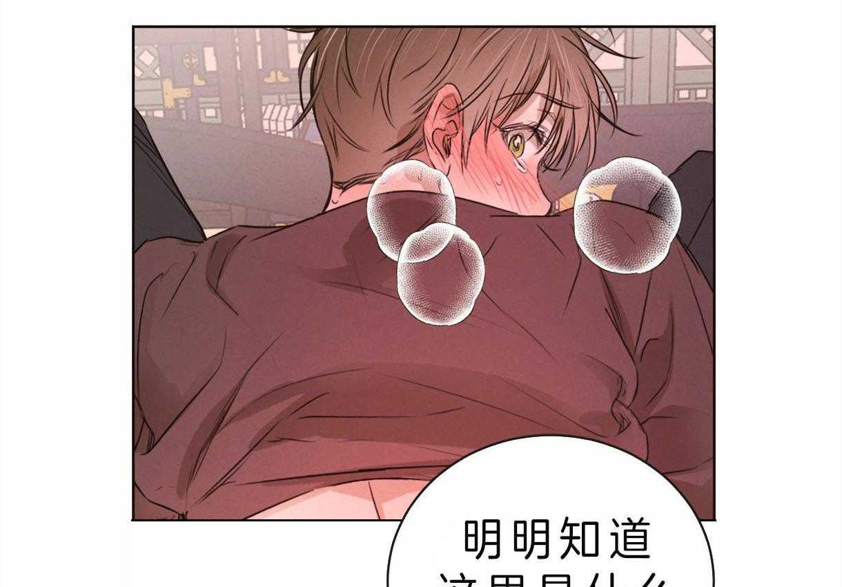 《皇家罗曼史（共2季）》漫画最新章节第74话 可以吗免费下拉式在线观看章节第【26】张图片