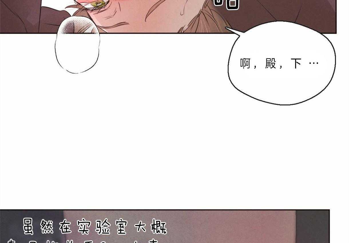 《皇家罗曼史（共2季）》漫画最新章节第74话 可以吗免费下拉式在线观看章节第【39】张图片