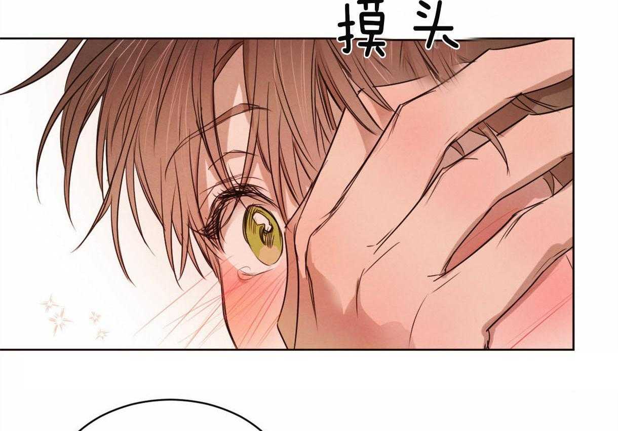 《皇家罗曼史（共2季）》漫画最新章节第75话 温暖免费下拉式在线观看章节第【16】张图片