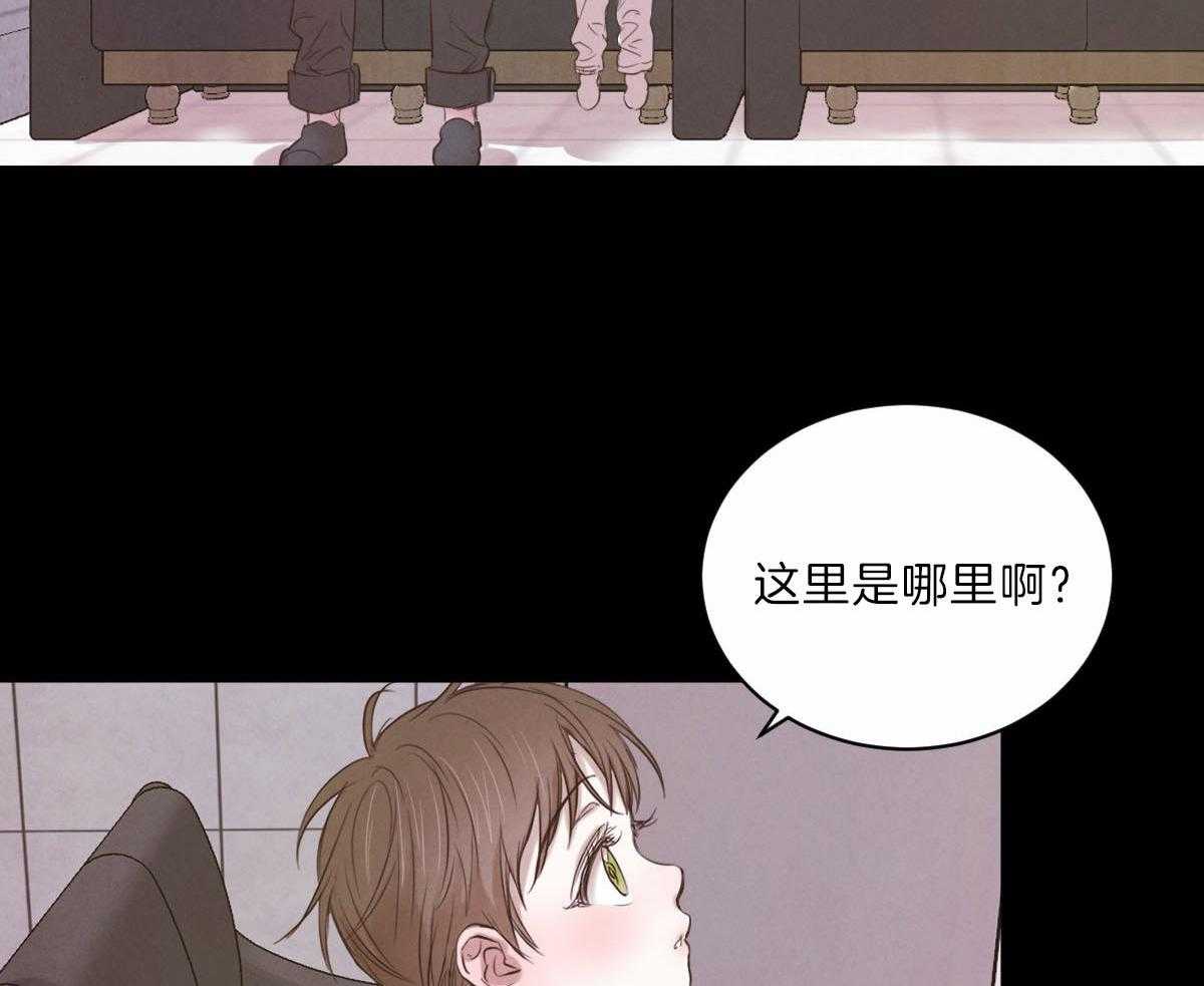 《皇家罗曼史（共2季）》漫画最新章节第90话 为什么是我免费下拉式在线观看章节第【15】张图片