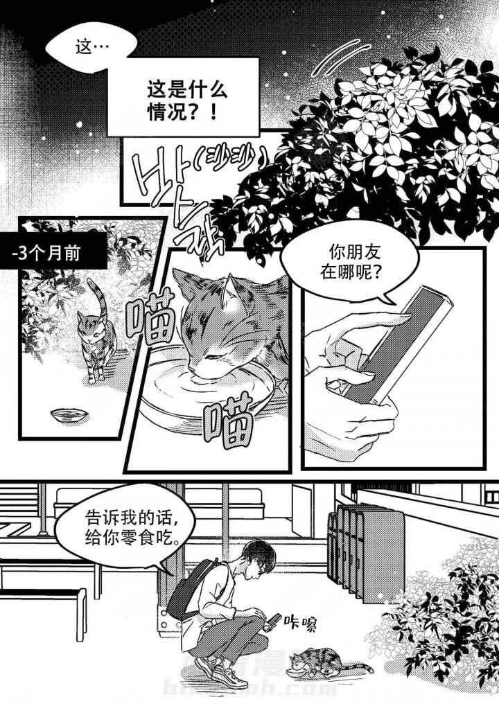 《狼的糖果》漫画最新章节第1话 1免费下拉式在线观看章节第【7】张图片