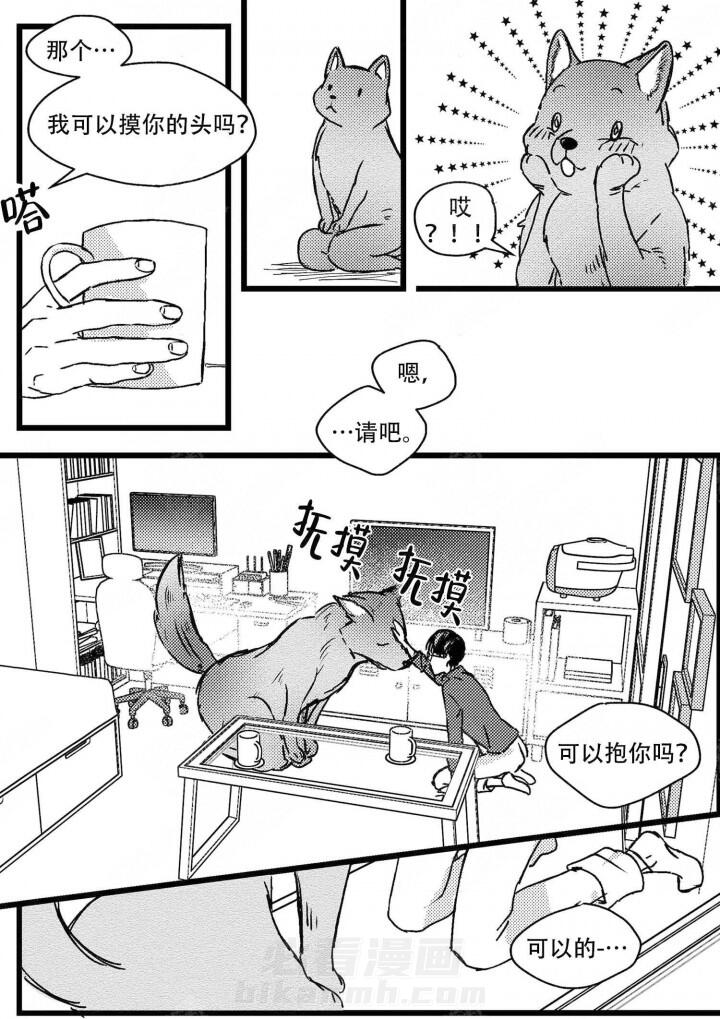 《狼的糖果》漫画最新章节第5话 5免费下拉式在线观看章节第【2】张图片