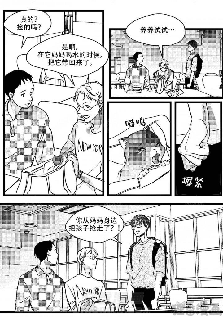 《狼的糖果》漫画最新章节第11话 11免费下拉式在线观看章节第【3】张图片