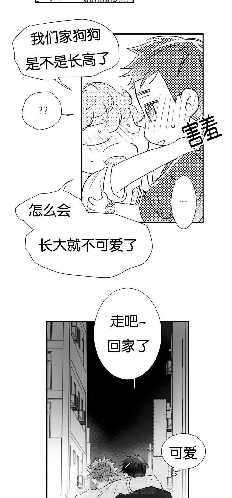 《如狼似犬》漫画最新章节第43话 哥你在哪免费下拉式在线观看章节第【2】张图片