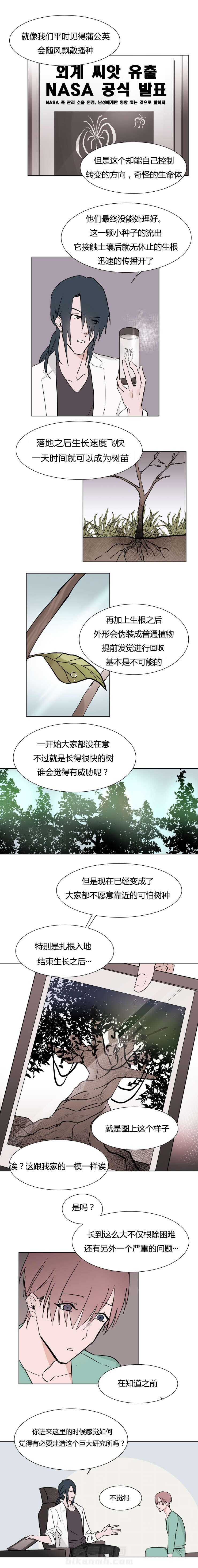 《神奇的果实》漫画最新章节第4话 医生免费下拉式在线观看章节第【3】张图片