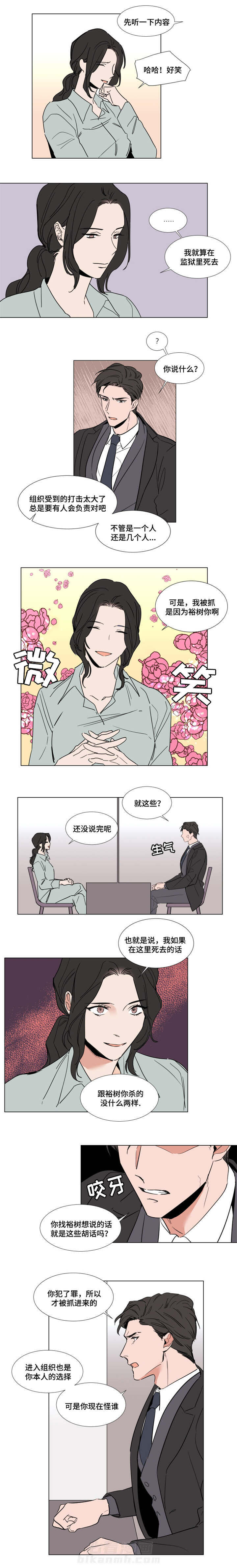 《神奇的果实》漫画最新章节第47话 47免费下拉式在线观看章节第【3】张图片