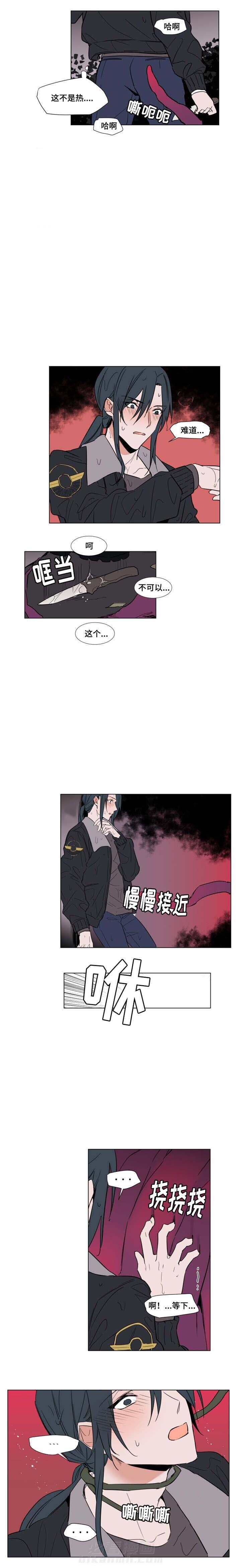 《神奇的果实》漫画最新章节第49话 49免费下拉式在线观看章节第【3】张图片