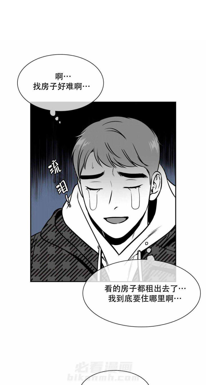 《我的主播男友（全集&番外）》漫画最新章节第143话 没有你，我无法幸福免费下拉式在线观看章节第【13】张图片