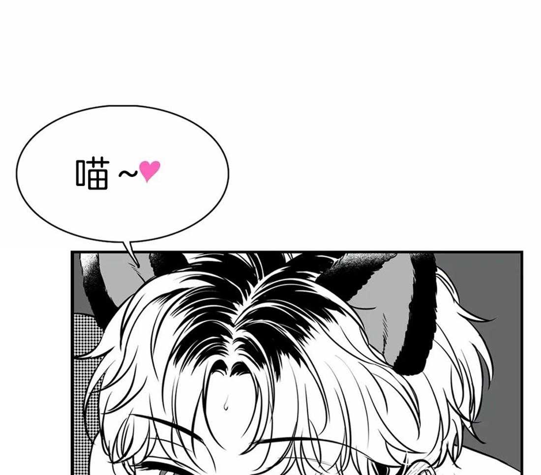 《我的主播男友（全集&番外）》漫画最新章节第145话 番外_小猫咪免费下拉式在线观看章节第【9】张图片