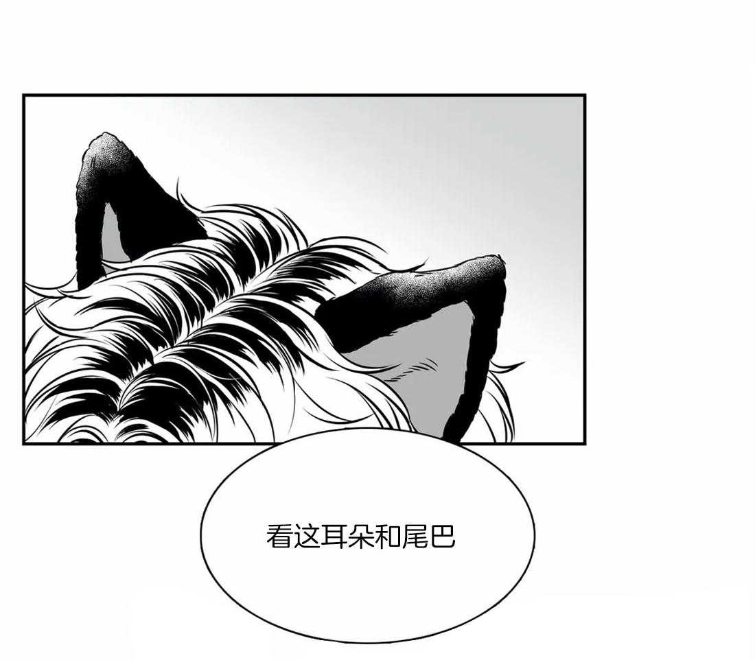 《我的主播男友（全集&番外）》漫画最新章节第145话 番外_小猫咪免费下拉式在线观看章节第【44】张图片