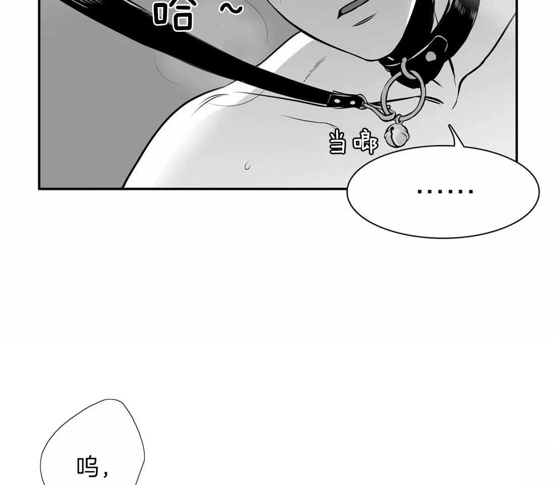 《我的主播男友（全集&番外）》漫画最新章节第145话 番外_小猫咪免费下拉式在线观看章节第【39】张图片