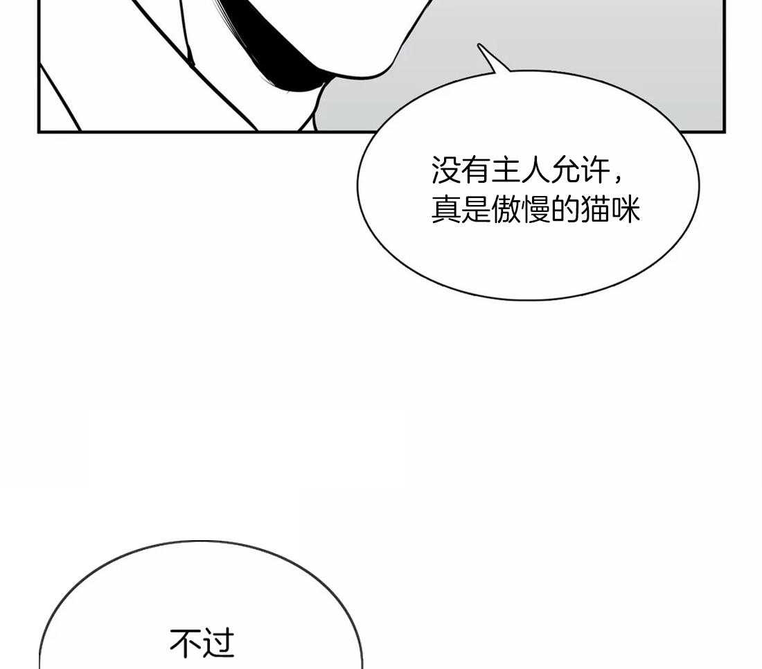 《我的主播男友（全集&番外）》漫画最新章节第145话 番外_小猫咪免费下拉式在线观看章节第【6】张图片