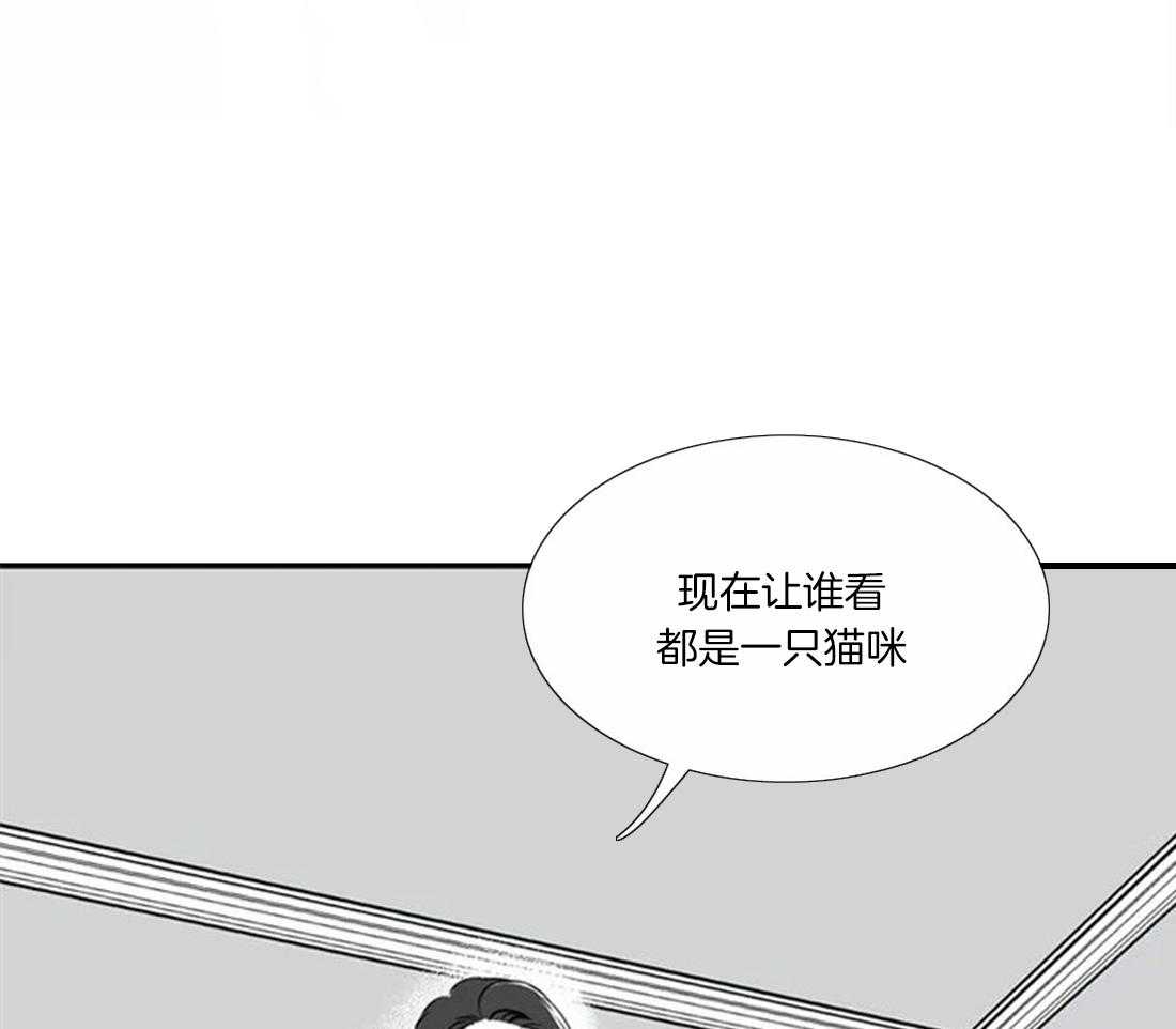 《我的主播男友（全集&番外）》漫画最新章节第145话 番外_小猫咪免费下拉式在线观看章节第【43】张图片