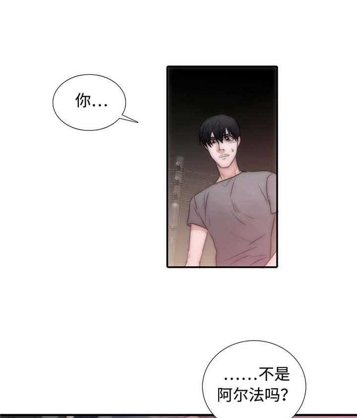 《觉醒周期（共2季）》漫画最新章节第6话 信息素免费下拉式在线观看章节第【24】张图片