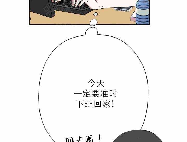 《沉迷社长大人》漫画最新章节第11话 11话免费下拉式在线观看章节第【15】张图片