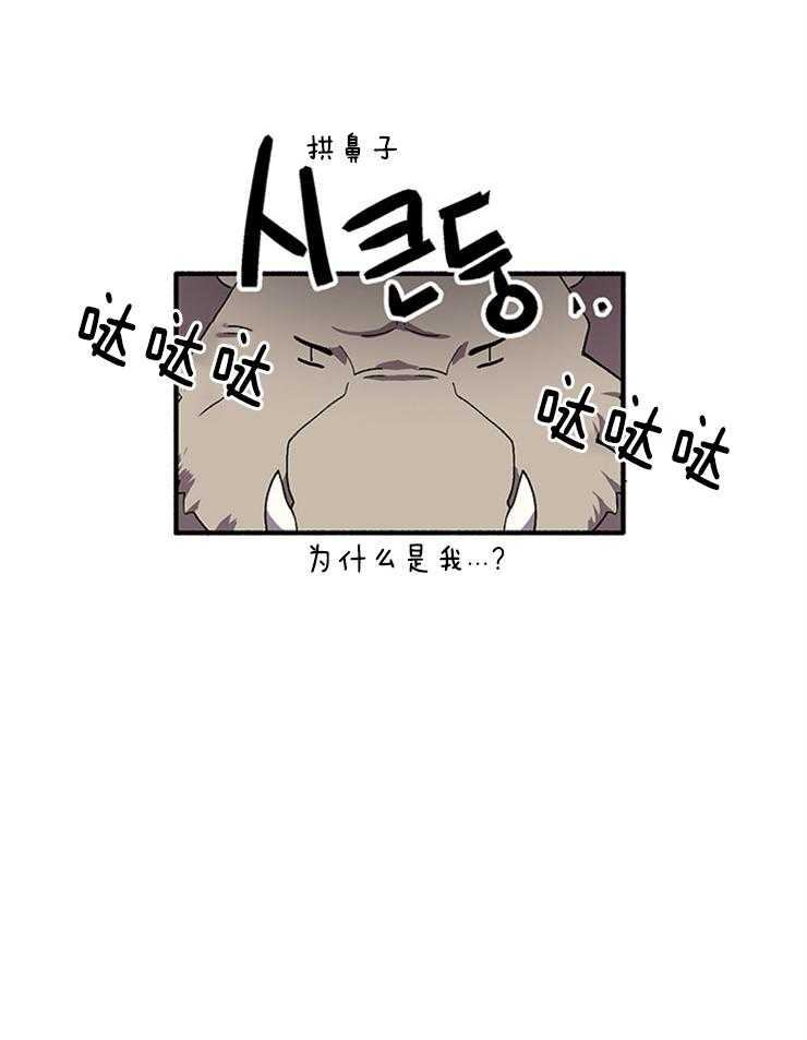 《王的土豆》漫画最新章节第9话 9_说服野猪精灵免费下拉式在线观看章节第【13】张图片