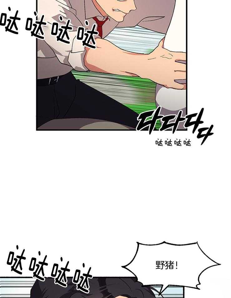 《王的土豆》漫画最新章节第9话 9_说服野猪精灵免费下拉式在线观看章节第【16】张图片