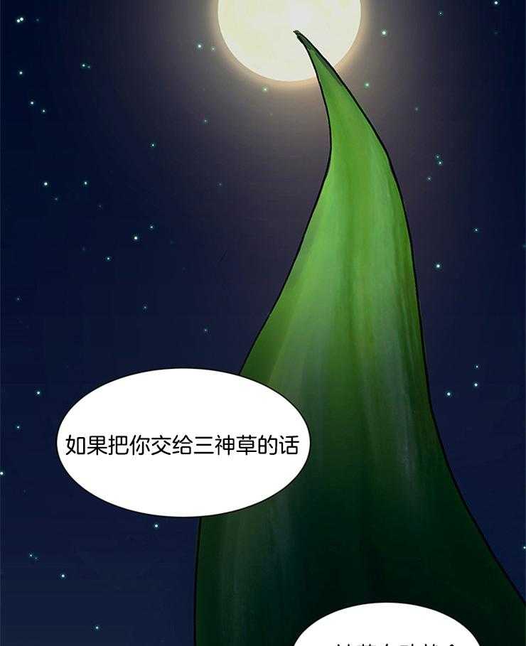 《王的土豆》漫画最新章节第11话 11_将你献给三神草免费下拉式在线观看章节第【18】张图片