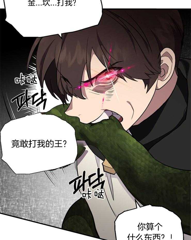 《王的土豆》漫画最新章节第12话 12_你算个什么东西免费下拉式在线观看章节第【2】张图片