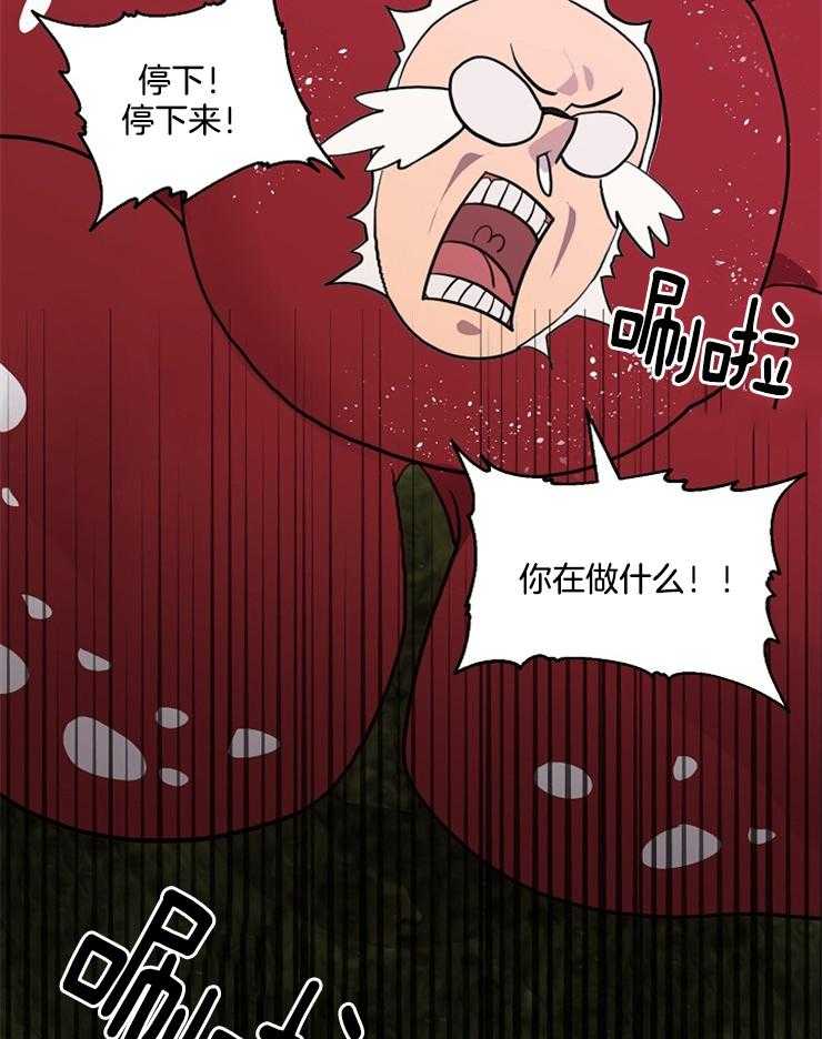 《王的土豆》漫画最新章节第13话 13_神选中的孩子免费下拉式在线观看章节第【35】张图片