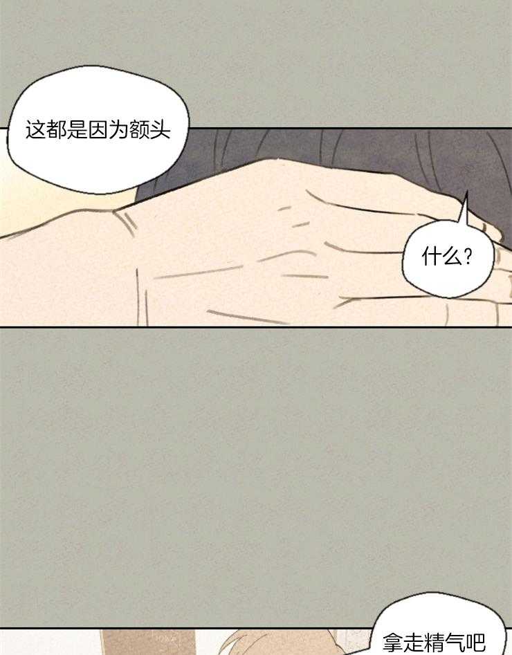 《午夜共生》漫画最新章节第31话 照片免费下拉式在线观看章节第【9】张图片