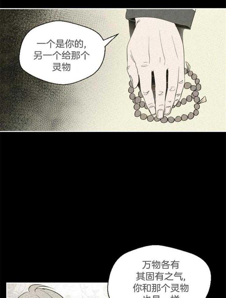 《午夜共生》漫画最新章节第48话 是不是搞错了免费下拉式在线观看章节第【19】张图片