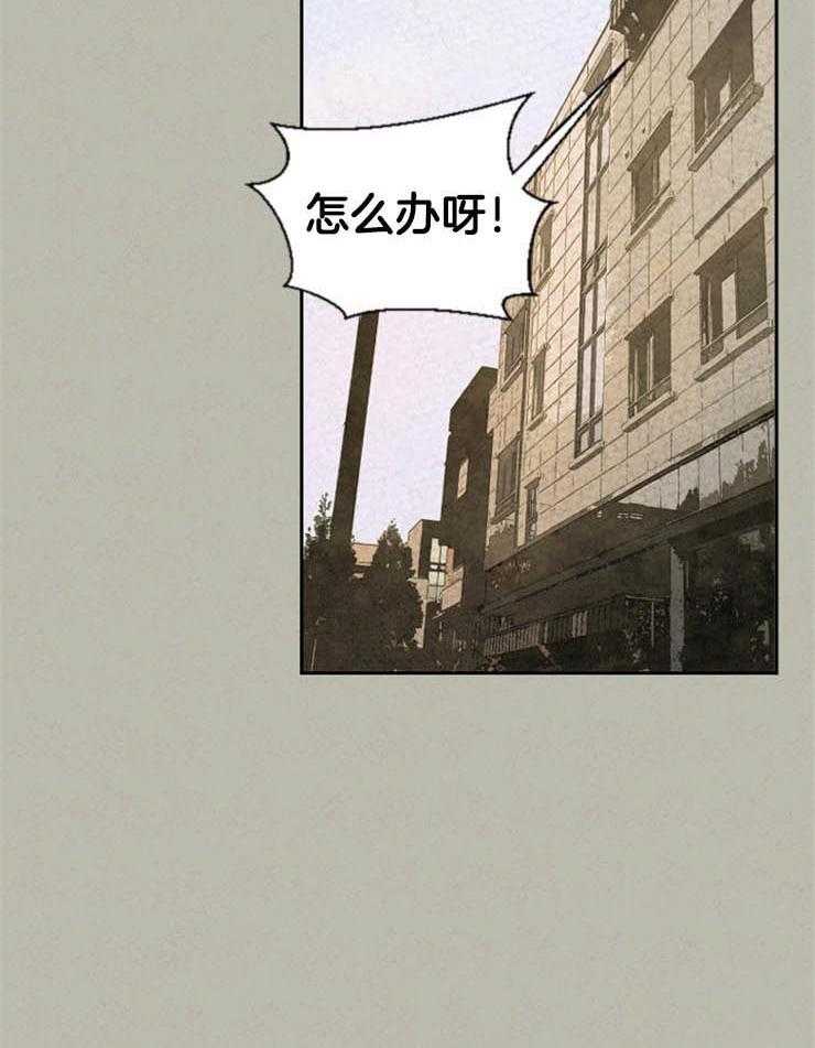 《午夜共生》漫画最新章节第50话 你这个傻瓜免费下拉式在线观看章节第【9】张图片