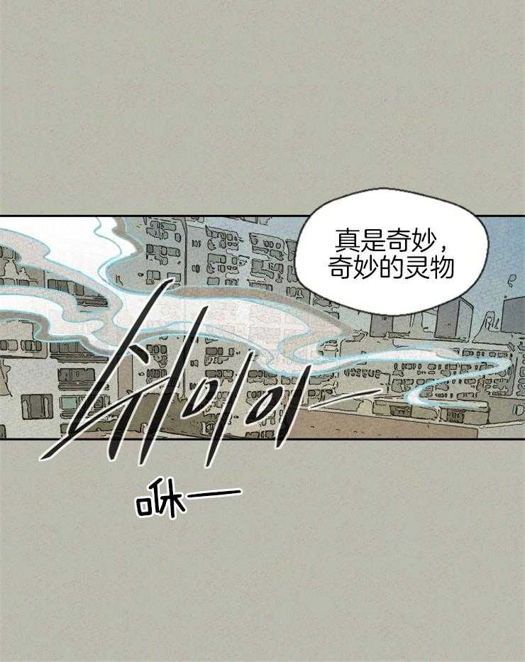 《午夜共生》漫画最新章节第52话 奇妙的灵物免费下拉式在线观看章节第【11】张图片