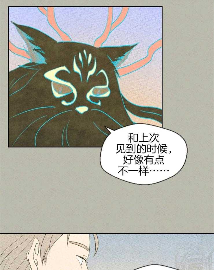 《午夜共生》漫画最新章节第52话 奇妙的灵物免费下拉式在线观看章节第【14】张图片