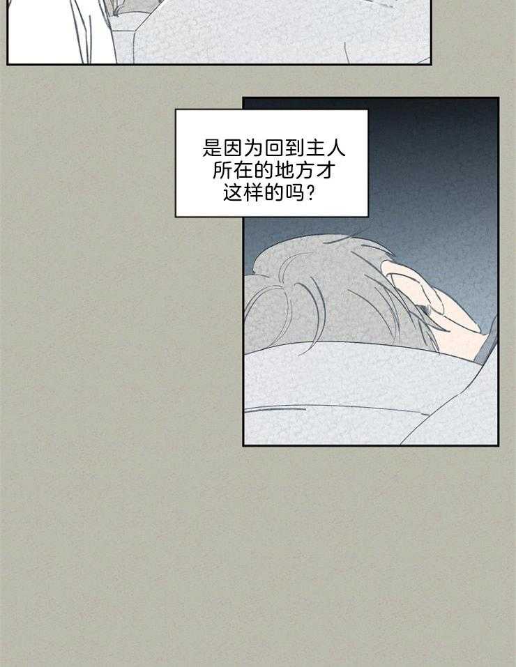 《午夜共生》漫画最新章节第88话 我想谈恋爱免费下拉式在线观看章节第【9】张图片