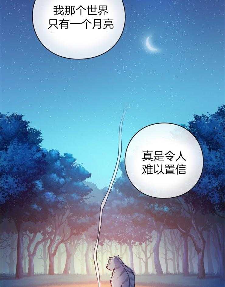 《异界探路者》漫画最新章节第4话 4_大白虎会讲话免费下拉式在线观看章节第【25】张图片