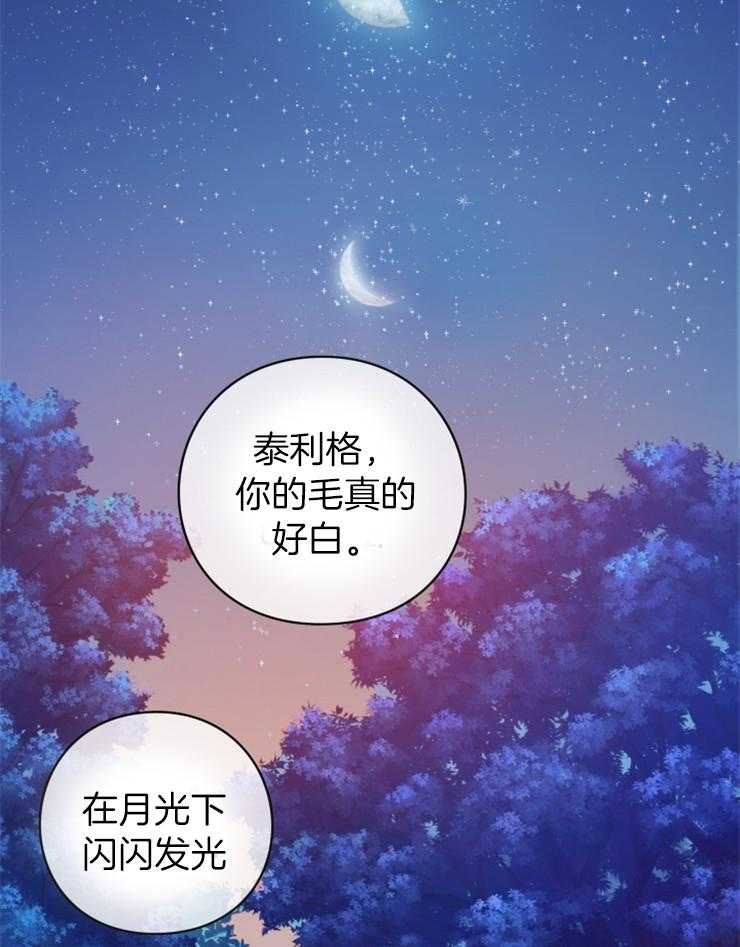 《异界探路者》漫画最新章节第5话 5_漂亮的男人免费下拉式在线观看章节第【38】张图片