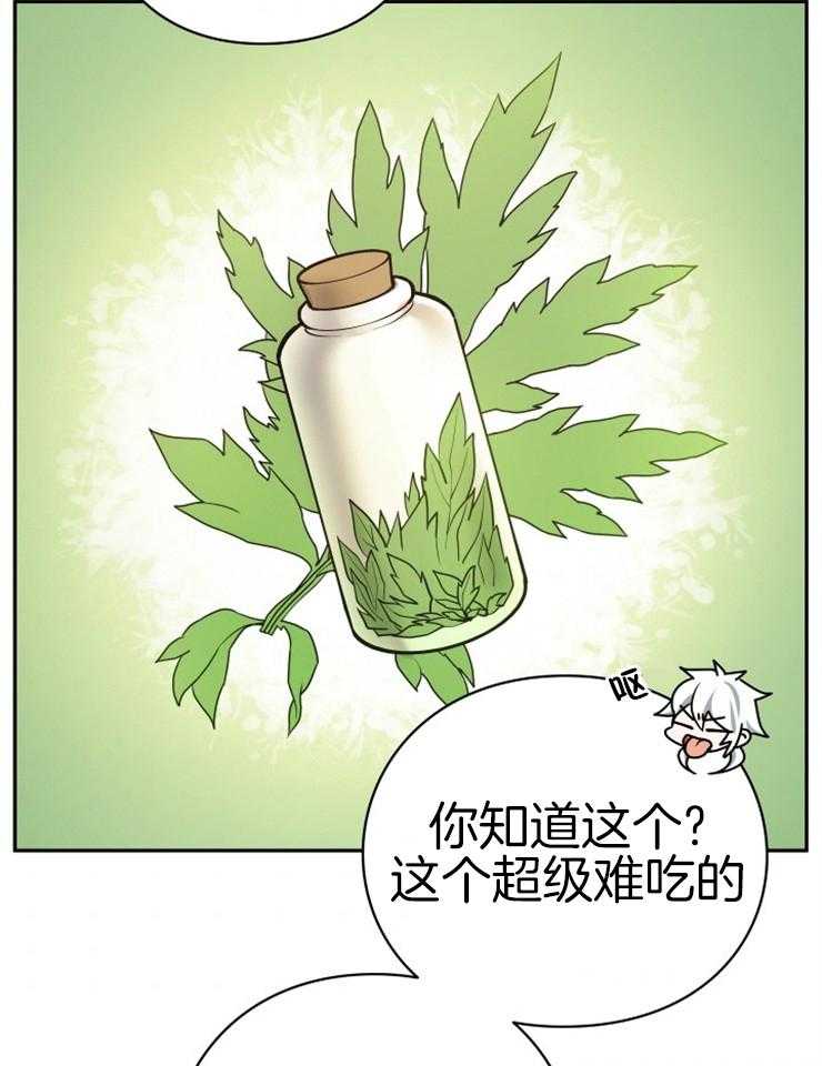 《异界探路者》漫画最新章节第33话 你是大白虎？免费下拉式在线观看章节第【11】张图片